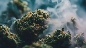 Innovative Gadgets for Cannabis