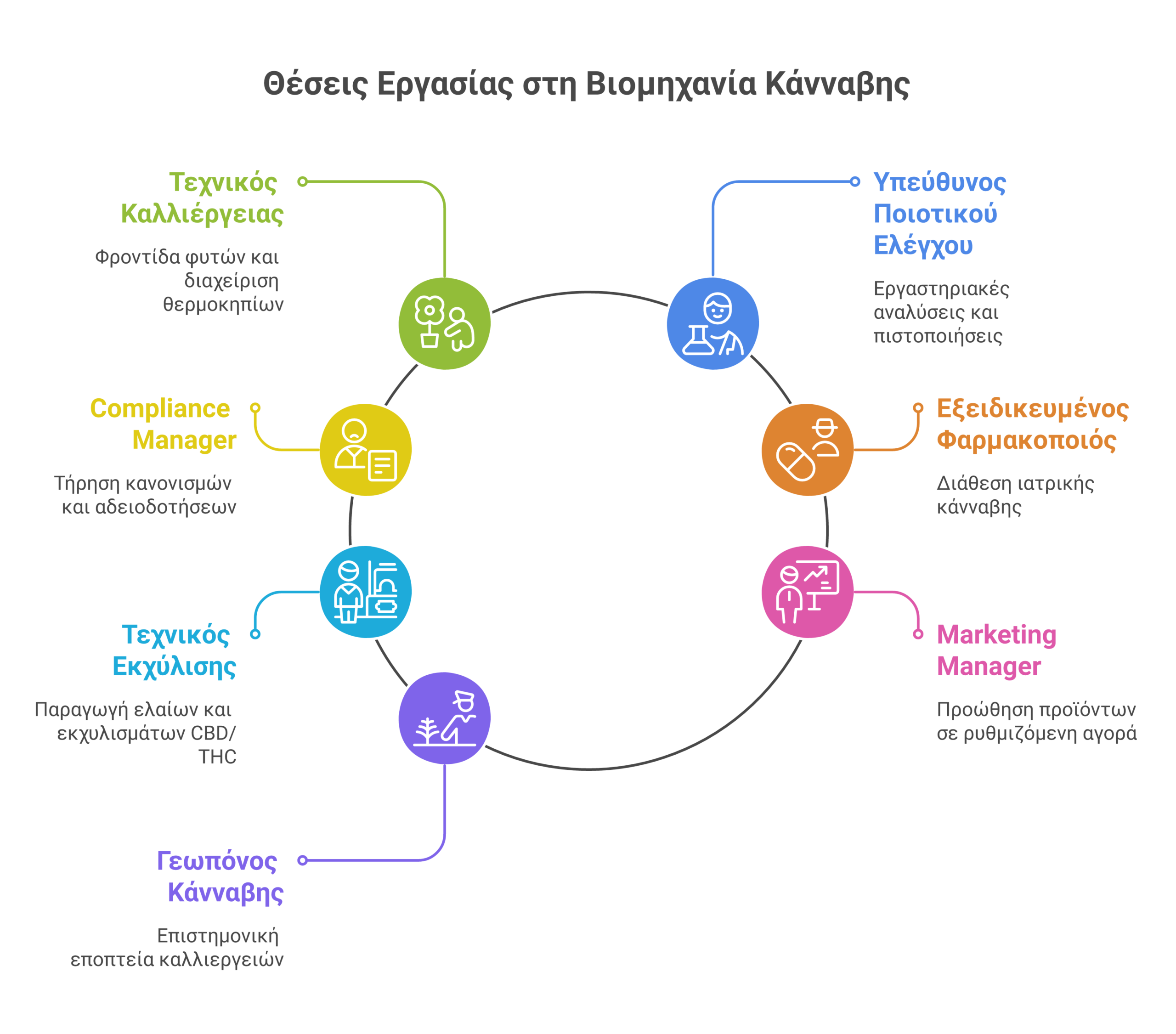 εργασία βιομηχανία κάνναβης infographic