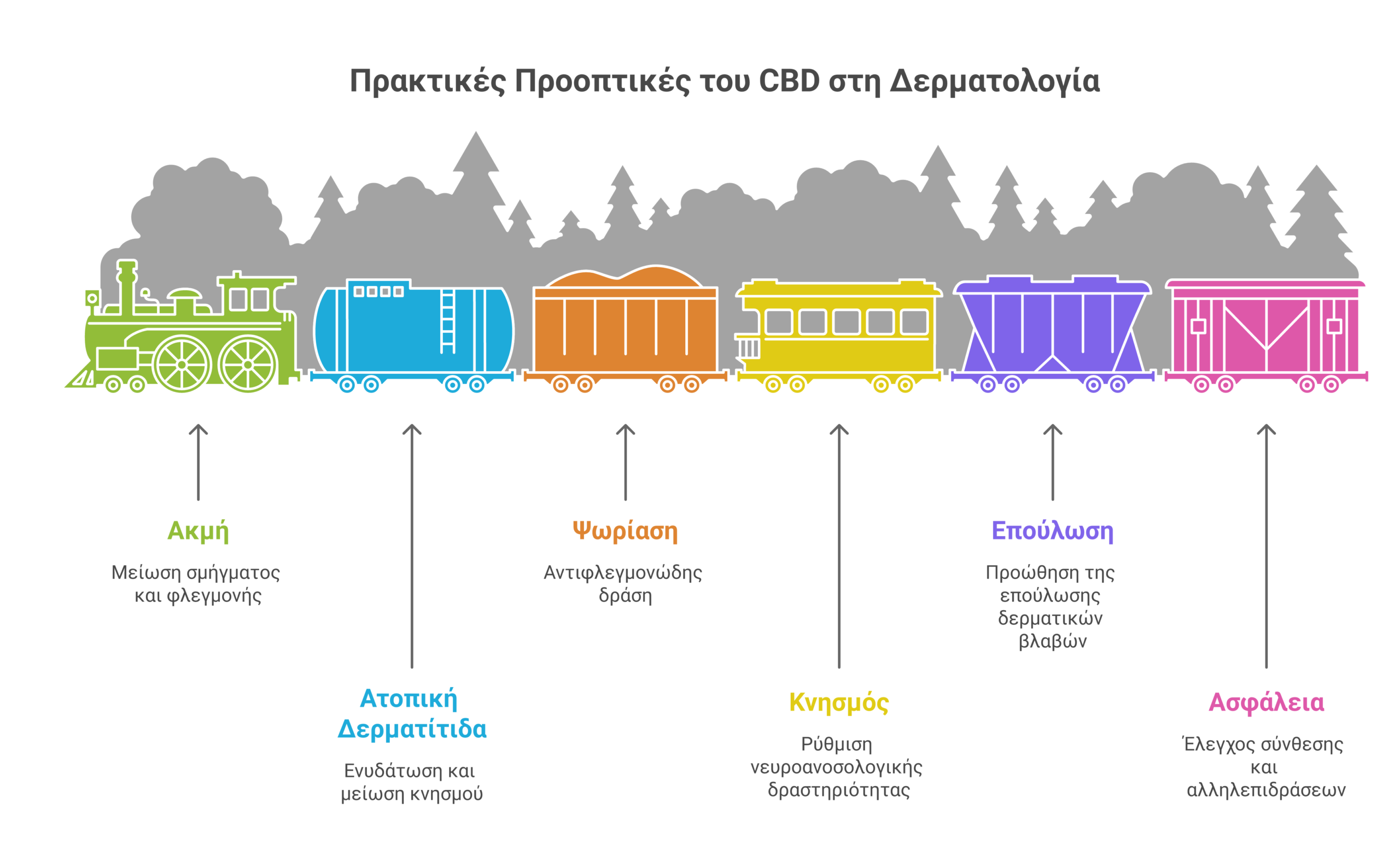 CBD δερματικές παθήσεις infographic